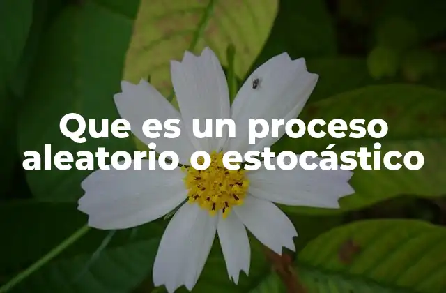Modelos matemáticos de los procesos estocásticos