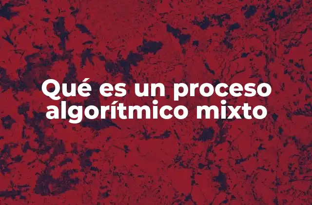 Qué es un Proceso Algorítmico Mixto