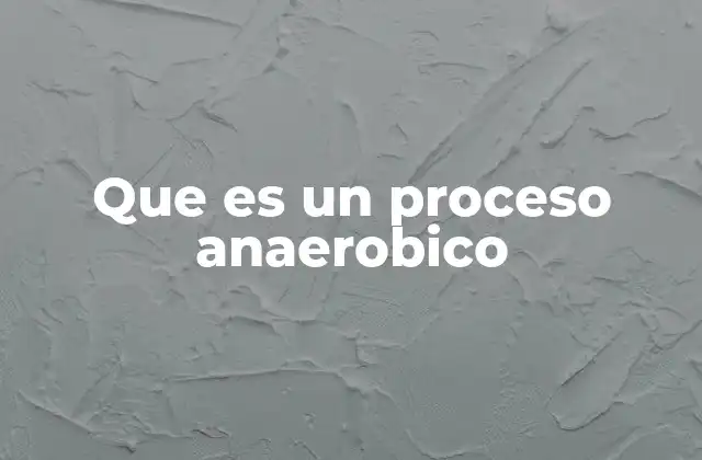 Que es un Proceso Anaerobico