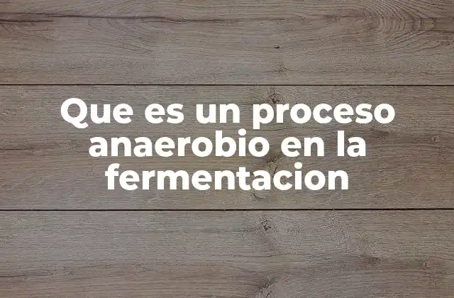Que es un Proceso Anaerobio en la Fermentacion