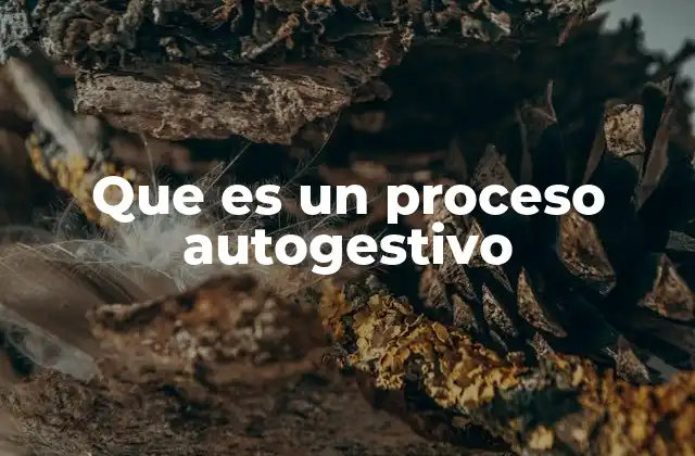 Que es un Proceso Autogestivo