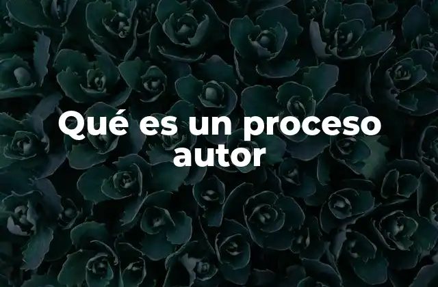 Qué es un Proceso Autor