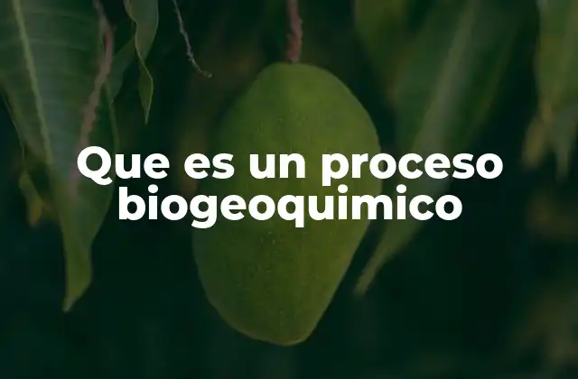 Que es un Proceso Biogeoquimico 2 El papel de los procesos biogeoquímicos en los ciclos naturales