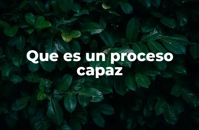 Que es un Proceso Capaz