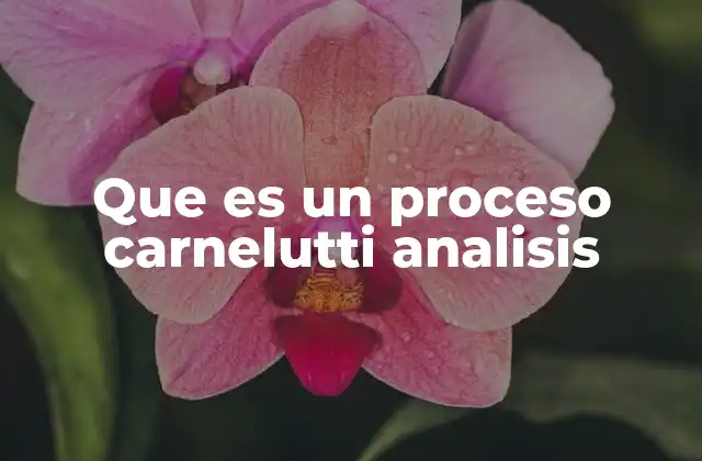 Que es un Proceso Carnelutti Analisis