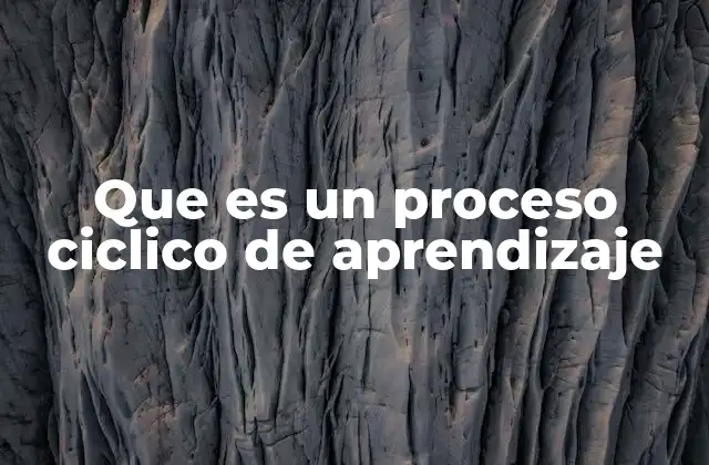 Que es un Proceso Ciclico de Aprendizaje