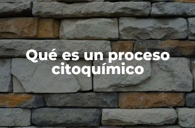 Qué es un Proceso Citoquímico