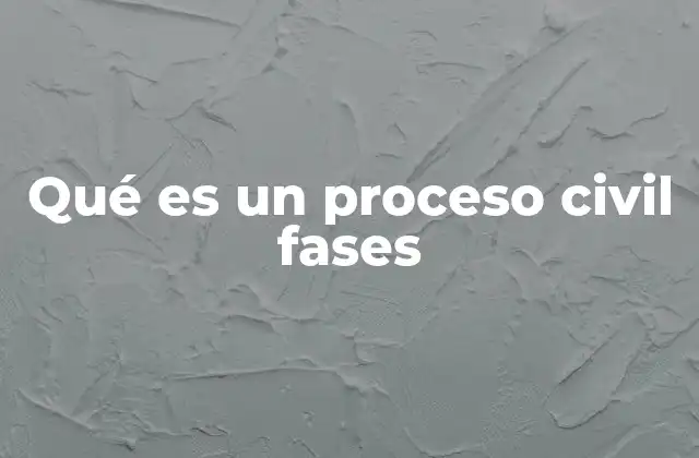 Qué es un Proceso Civil Fases