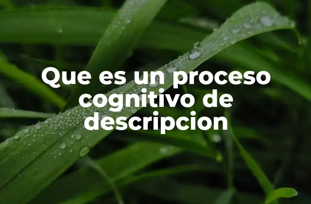 La descripción como herramienta para organizar la información