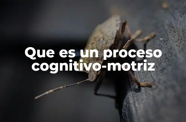 Que es un Proceso Cognitivo-motriz
