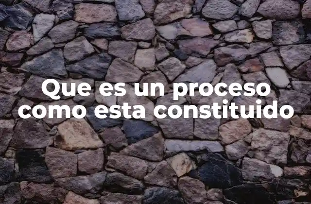 Que es un Proceso como Esta Constituido