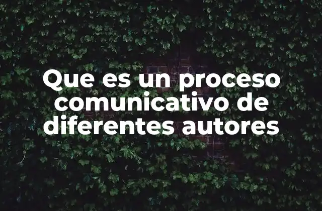 Diferentes enfoques teóricos del proceso comunicativo