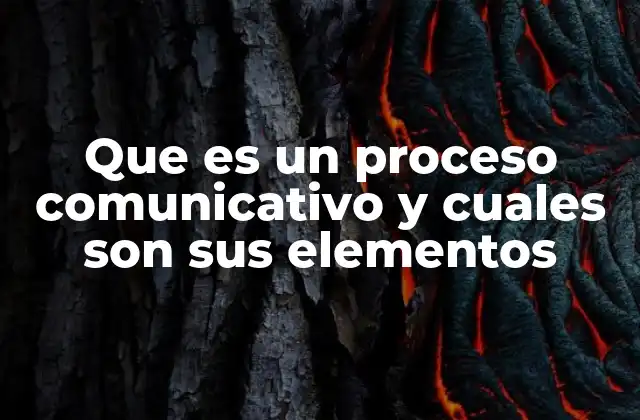 Los componentes esenciales del proceso comunicativo