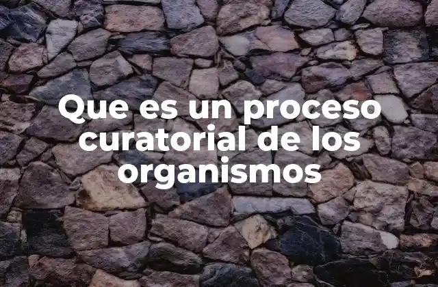 Que es un Proceso Curatorial de los Organismos