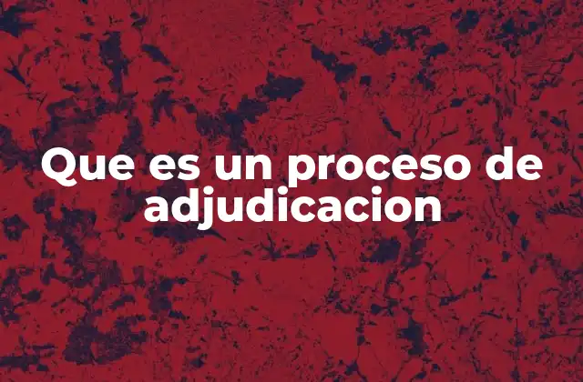Que es un Proceso de Adjudicacion