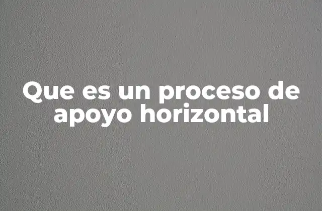 Que es un Proceso de Apoyo Horizontal