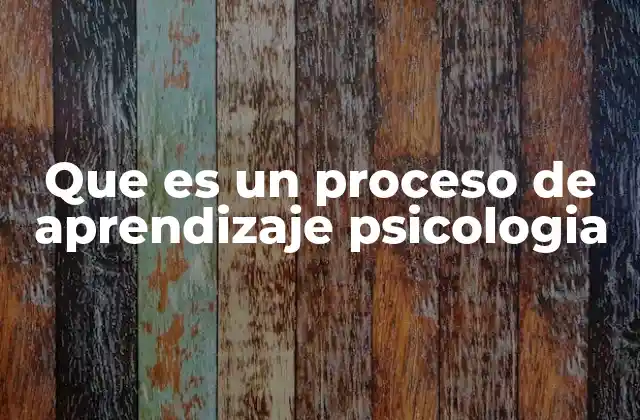 Que es un Proceso de Aprendizaje Psicologia 2 Cómo se desarrolla el aprendizaje en el ser humano