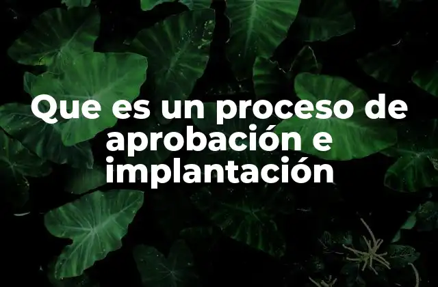 Que es un Proceso de Aprobación e Implantación