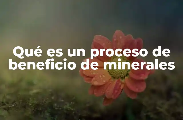 Qué es un Proceso de Beneficio de Minerales