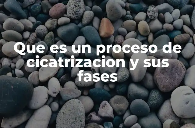Que es un Proceso de Cicatrizacion y Sus Fases