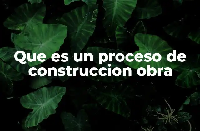 Que es un Proceso de Construccion Obra