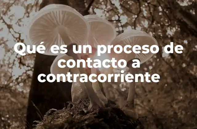 Qué es un Proceso de Contacto a Contracorriente