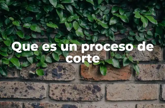 Que es un Proceso de Corte