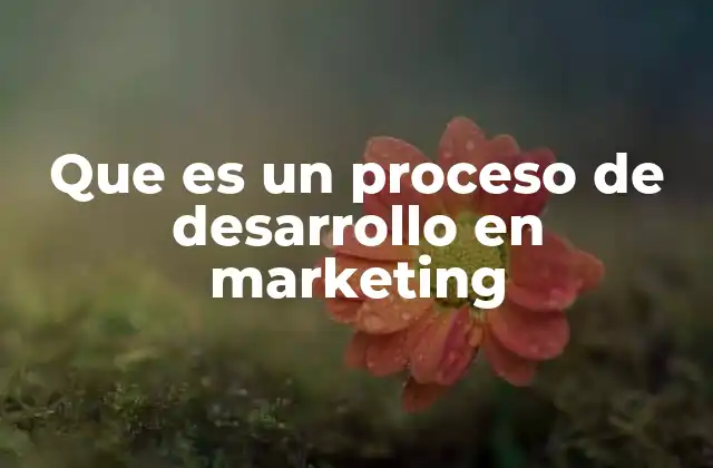 Que es un Proceso de Desarrollo en Marketing