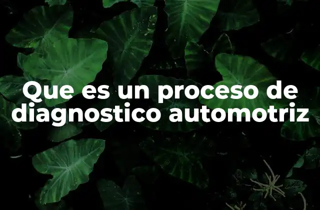 Que es un Proceso de Diagnostico Automotriz