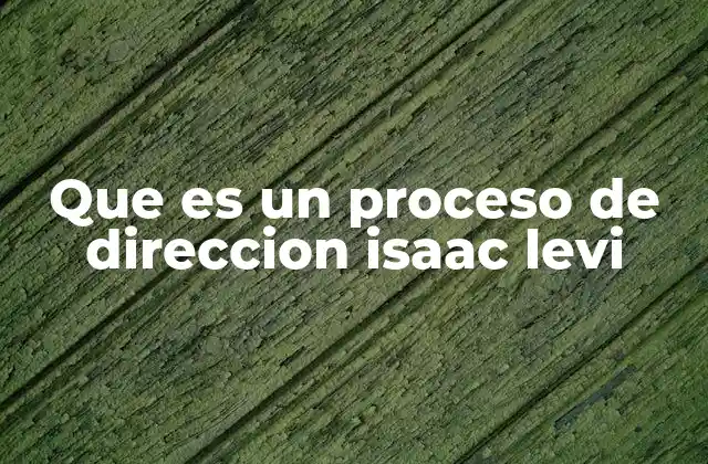 Que es un Proceso de Direccion Isaac Levi
