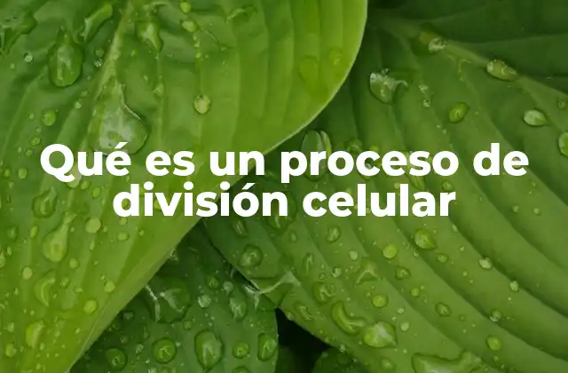 Qué es un Proceso de División Celular