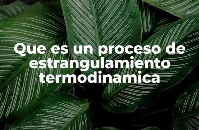 Que es un Proceso de Estrangulamiento Termodinamica