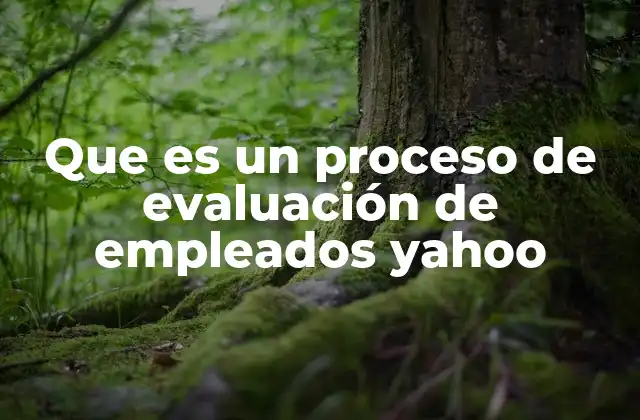 Que es un Proceso de Evaluación de Empleados Yahoo