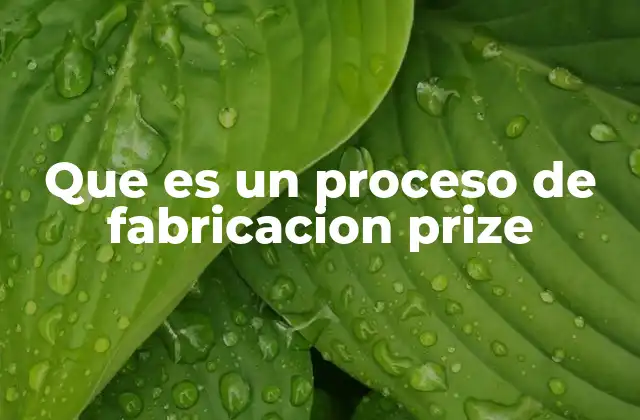 Que es un Proceso de Fabricacion Prize