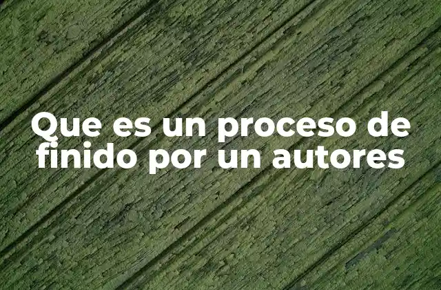 Que es un Proceso de Finido por un Autores