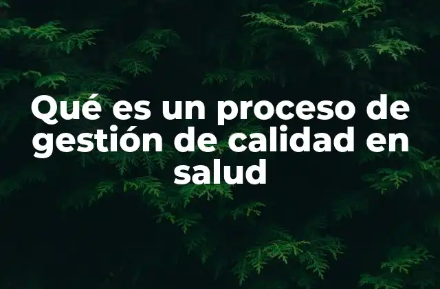 Qué es un Proceso de Gestión de Calidad en Salud