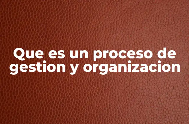 Que es un Proceso de Gestion y Organizacion