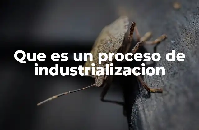 Que es un Proceso de Industrializacion