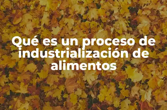 Qué es un Proceso de Industrialización de Alimentos