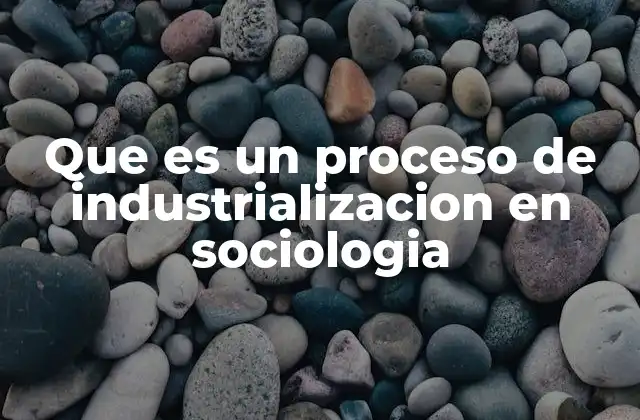 Que es un Proceso de Industrializacion en Sociologia