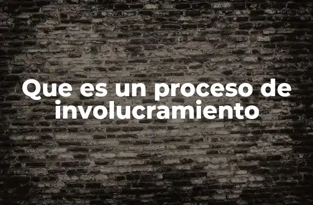 Que es un Proceso de Involucramiento