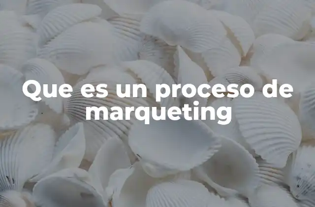 Cómo se estructura el proceso de marketing