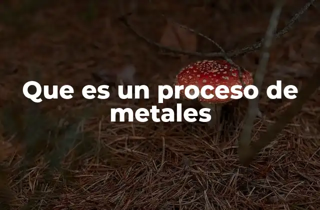 Que es un Proceso de Metales