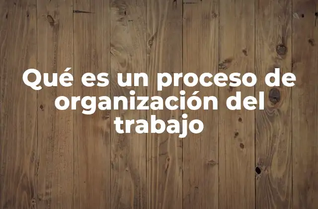 Qué es un Proceso de Organización Del Trabajo