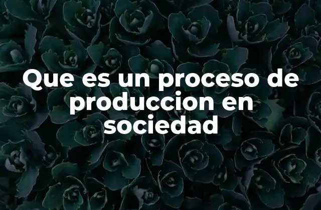 Que es un Proceso de Produccion en Sociedad