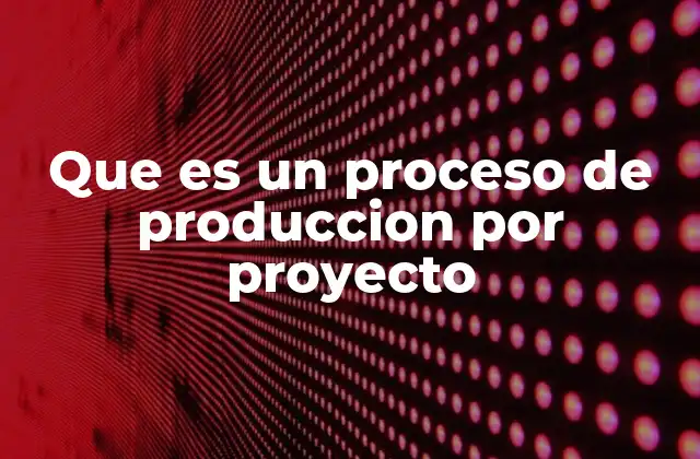 Que es un Proceso de Produccion por Proyecto