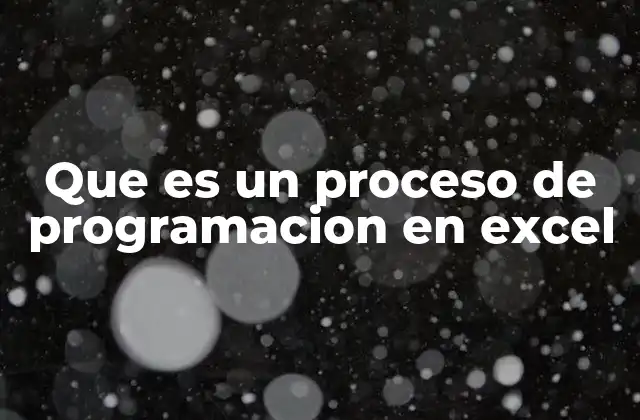 Que es un Proceso de Programacion en Excel