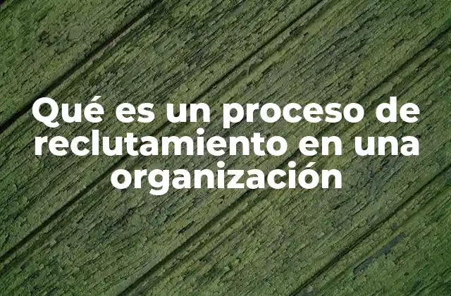 Qué es un Proceso de Reclutamiento en una Organización