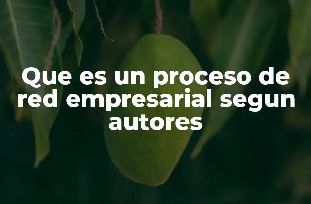 Que es un Proceso de Red Empresarial Segun Autores