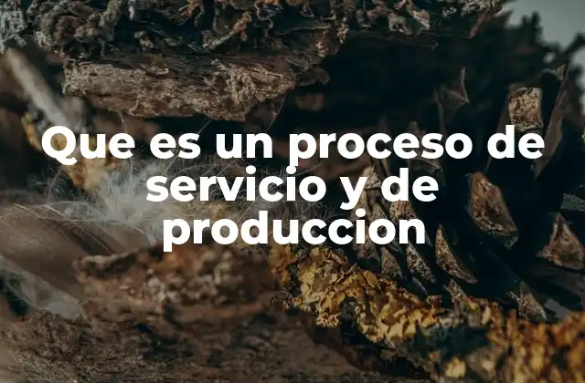 Que es un Proceso de Servicio y de Produccion